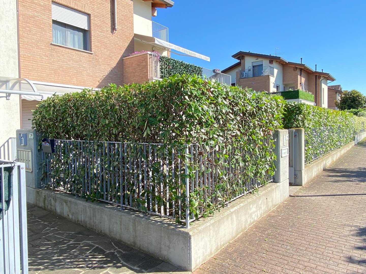 Marito in affitto — Foto 4